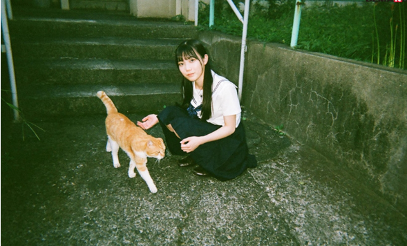 图片[4]-望实香苗(望実かなえ)最好看的三部作品推荐-尤乐舍