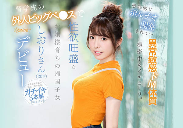 芦那しおり(芦那诗织)作品推荐IPX-376封面及剧情介绍-尤乐舍