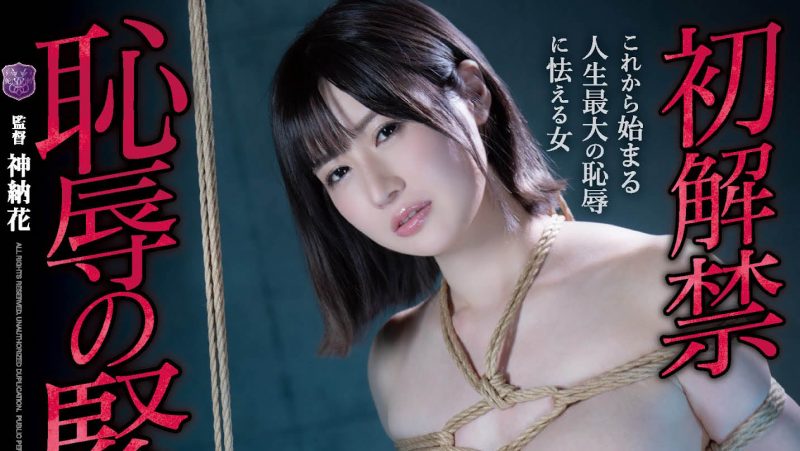 藤森里穂(Fujimori-Riho)作品推荐JBD-272封面及剧情介绍-尤乐舍