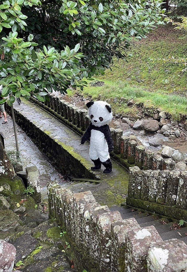 图片[6]-さつき芽衣(沙月芽衣)、三尾めぐ(三尾惠)、天然美月合演作品推荐CSCT-042封面及剧情介绍-尤乐舍