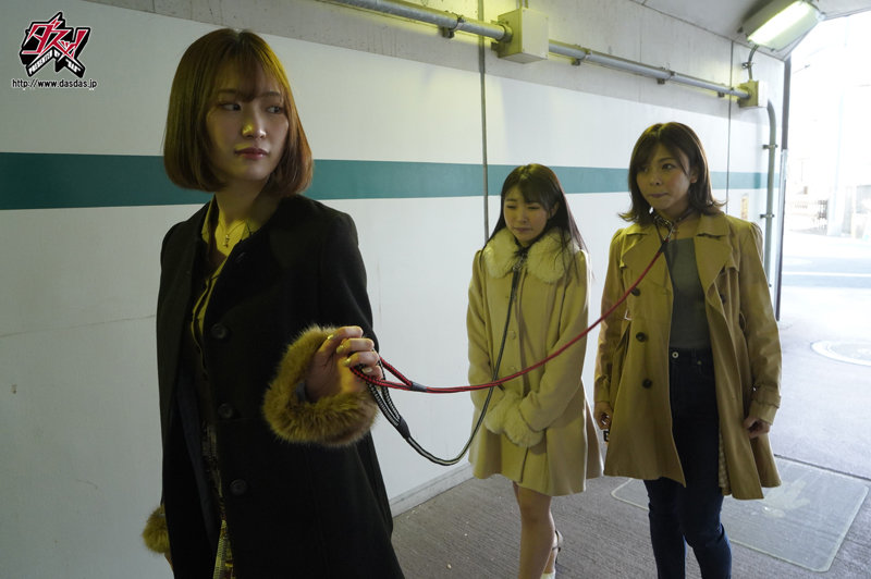 图片[2]-美谷朱里、皆月ひかる、岬あづさ合演作品推荐DASS-012封面及剧情介绍-尤乐舍