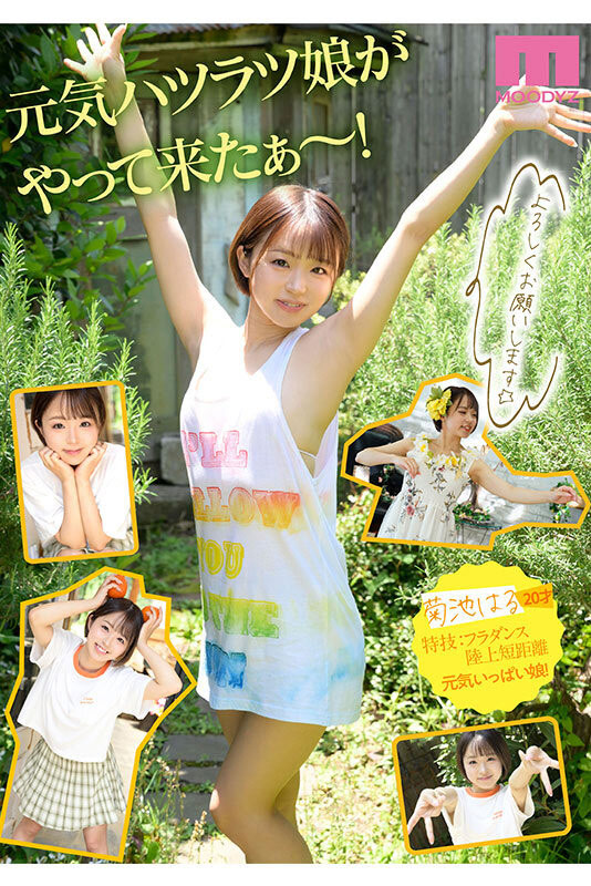 图片[3]-菊池はる(菊池春)作品推荐MIDV-541封面及剧情介绍-尤乐舍