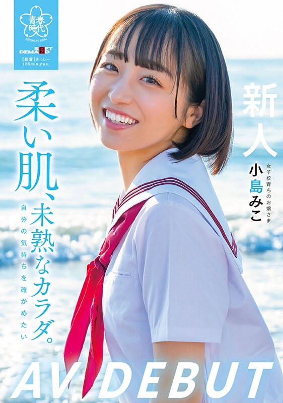 图片[4]-正妹学霸《小岛御子》精选作品推荐推荐封面及剧情介绍-尤乐舍