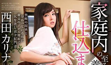 图片[5]-最美混血女星《西田加里奈》精选作品推荐推荐封面及剧情介绍-尤乐舍