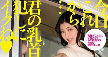 图片[6]-小只马萝莉《豊中艾莉丝》精选作品推荐推荐封面及剧情介绍-尤乐舍