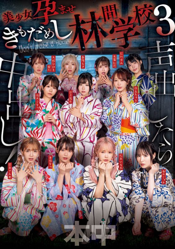 「超级鬼屋惊魂」共演作品推荐HNDS-182封面及剧情介绍-尤乐舍