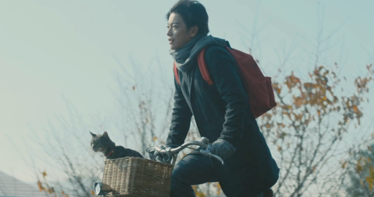 日本电影《假如猫从世界上消失了》一场关于存在与失去的奇幻寓言-尤乐舍